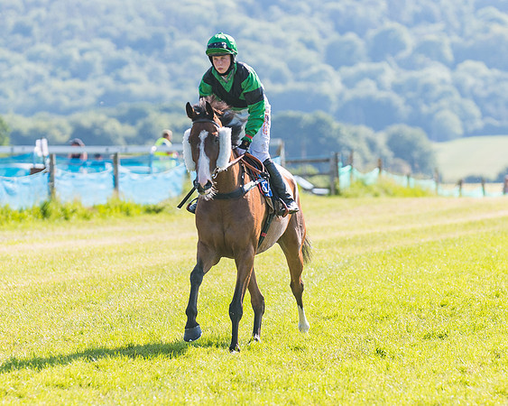Race 7 - 2M4F Conditions  (66 of 229)