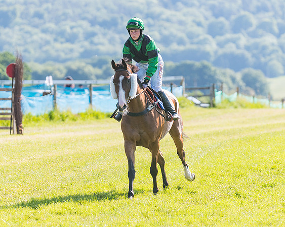 Race 7 - 2M4F Conditions  (67 of 229)