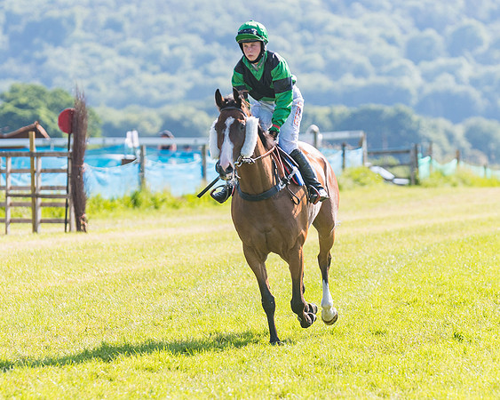 Race 7 - 2M4F Conditions  (68 of 229)