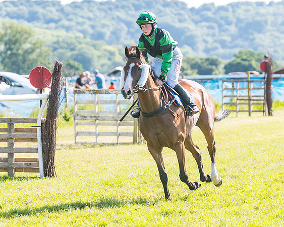 Race 7 - 2M4F Conditions  (69 of 229)
