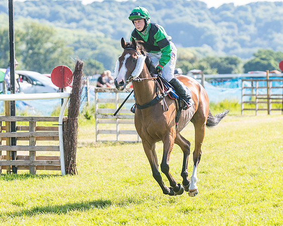 Race 7 - 2M4F Conditions  (70 of 229)