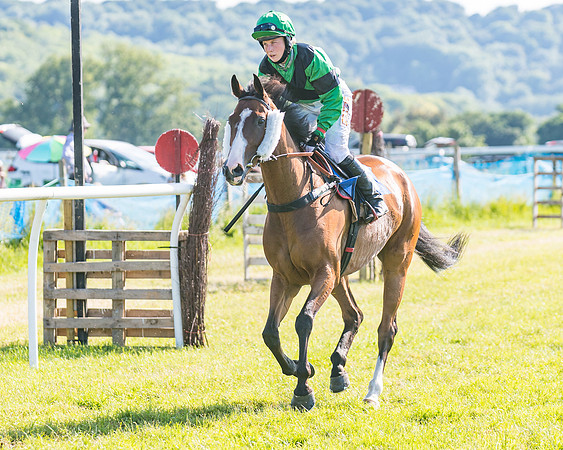 Race 7 - 2M4F Conditions  (71 of 229)
