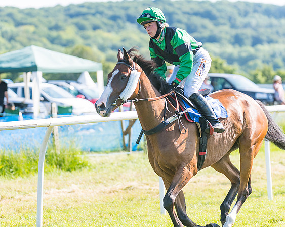 Race 7 - 2M4F Conditions  (73 of 229)