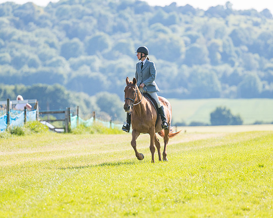 Race 7 - 2M4F Conditions  (74 of 229)