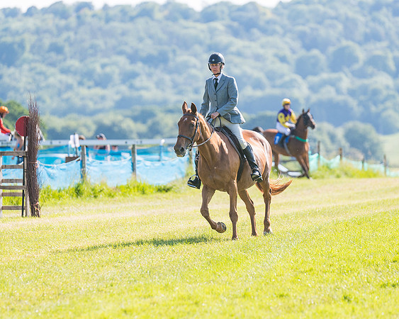 Race 7 - 2M4F Conditions  (75 of 229)