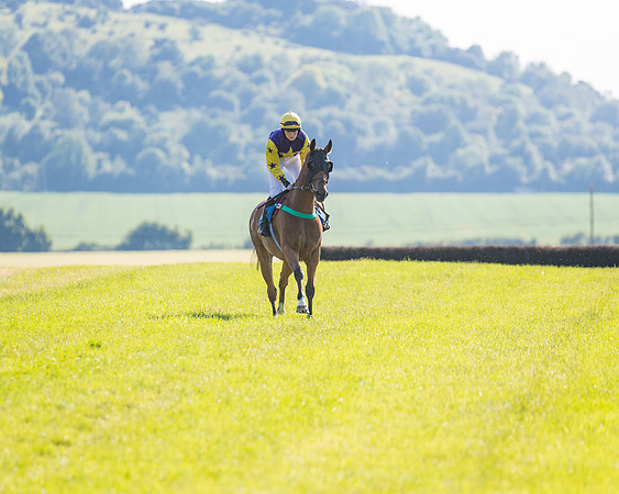Race 7 - 2M4F Conditions  (77 of 229)