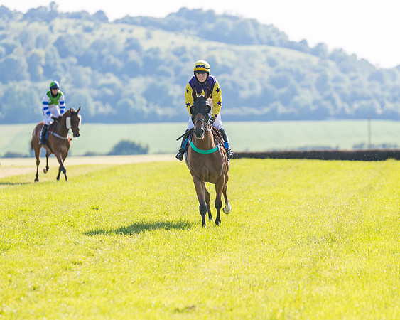 Race 7 - 2M4F Conditions  (78 of 229)