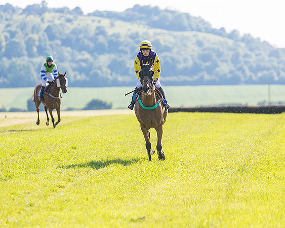 Race 7 - 2M4F Conditions  (79 of 229)