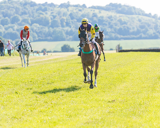 Race 7 - 2M4F Conditions  (80 of 229)