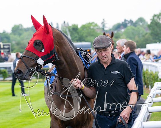 Race 1 - Restricted Novices Hunter Chase (20 of 145)