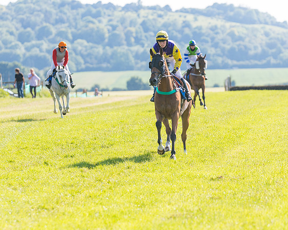 Race 7 - 2M4F Conditions  (81 of 229)
