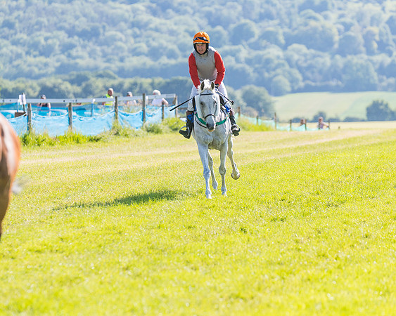 Race 7 - 2M4F Conditions  (82 of 229)