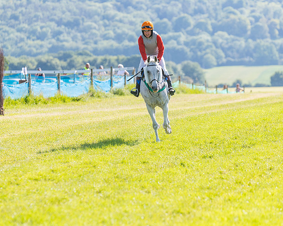 Race 7 - 2M4F Conditions  (83 of 229)