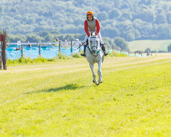 Race 7 - 2M4F Conditions  (84 of 229)