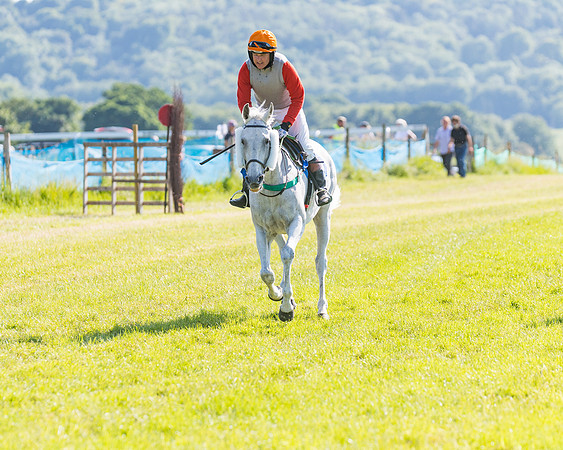 Race 7 - 2M4F Conditions  (87 of 229)