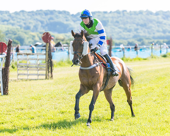 Race 7 - 2M4F Conditions  (88 of 229)
