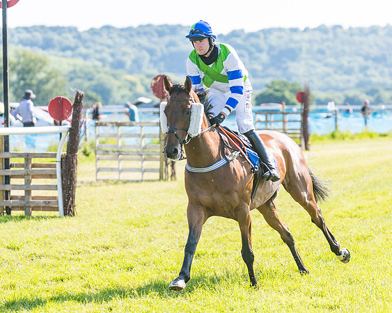 Race 7 - 2M4F Conditions  (89 of 229)
