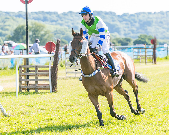Race 7 - 2M4F Conditions  (90 of 229)