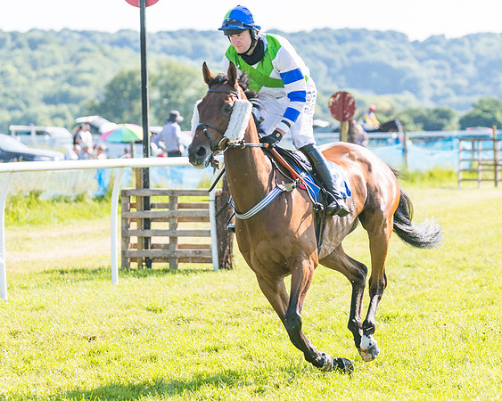 Race 7 - 2M4F Conditions  (91 of 229)