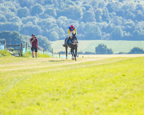 Race 7 - 2M4F Conditions  (92 of 229)