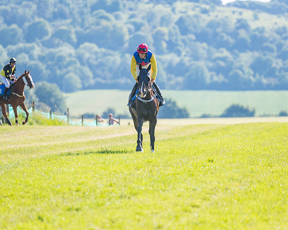 Race 7 - 2M4F Conditions  (93 of 229)