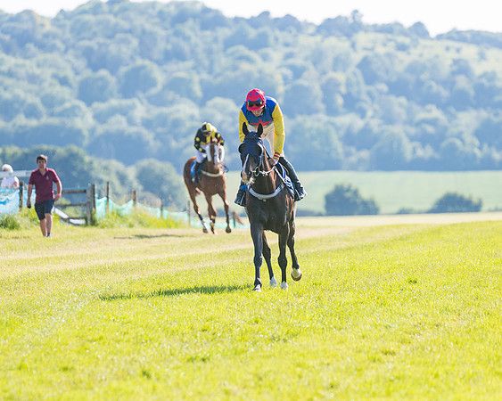 Race 7 - 2M4F Conditions  (94 of 229)