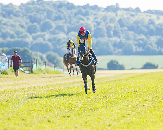 Race 7 - 2M4F Conditions  (95 of 229)