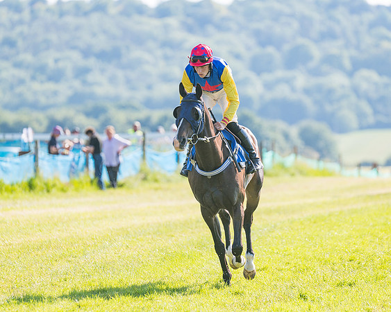Race 7 - 2M4F Conditions  (96 of 229)