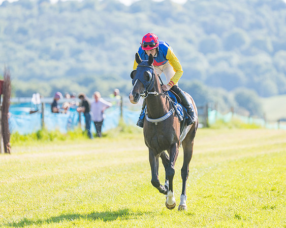 Race 7 - 2M4F Conditions  (97 of 229)