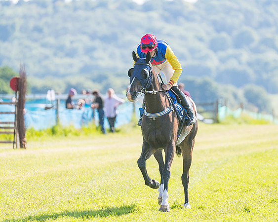 Race 7 - 2M4F Conditions  (98 of 229)