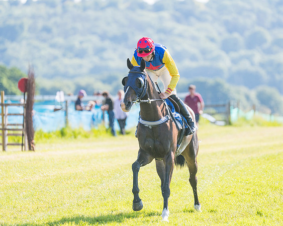 Race 7 - 2M4F Conditions  (99 of 229)
