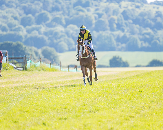 Race 7 - 2M4F Conditions  (100 of 229)