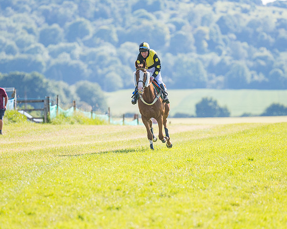Race 7 - 2M4F Conditions  (101 of 229)