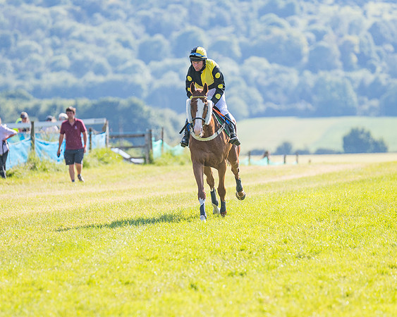Race 7 - 2M4F Conditions  (104 of 229)