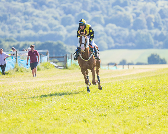 Race 7 - 2M4F Conditions  (105 of 229)