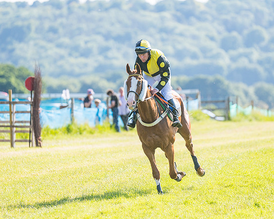 Race 7 - 2M4F Conditions  (107 of 229)