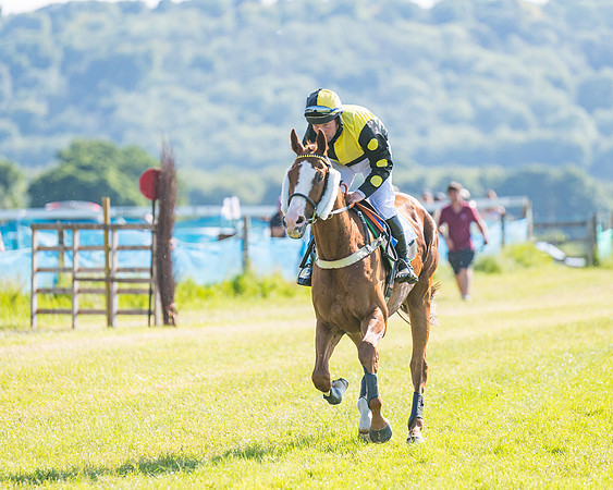 Race 7 - 2M4F Conditions  (109 of 229)