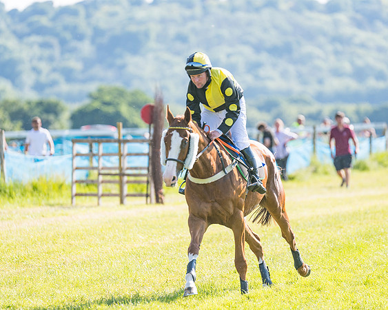 Race 7 - 2M4F Conditions  (111 of 229)