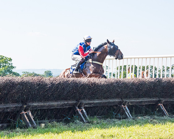 Race 7 - 2M4F Conditions  (112 of 229)