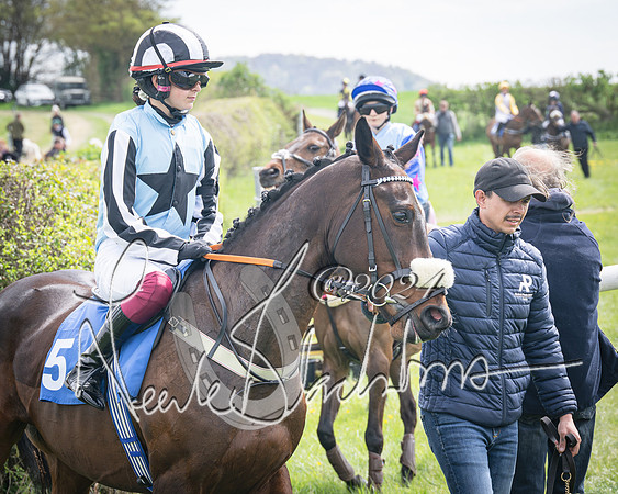 Pony Race 2 (7 of 84)-