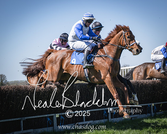 Race 2 - The Maiden (76 of 118)