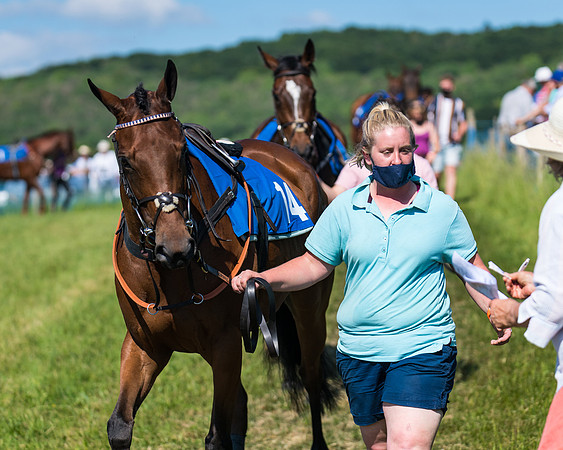 Race 6 - Open Maiden (15 of 201)