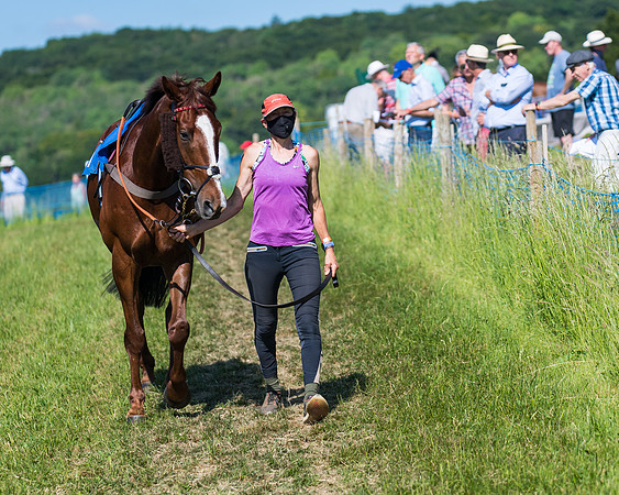 Race 6 - Open Maiden (26 of 201)