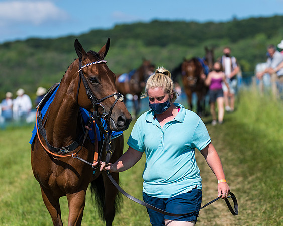Race 6 - Open Maiden (28 of 201)