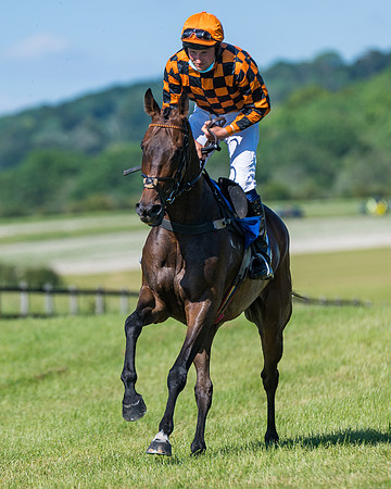 Race 6 - Open Maiden (39 of 201)