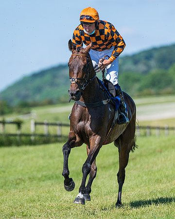 Race 6 - Open Maiden (40 of 201)