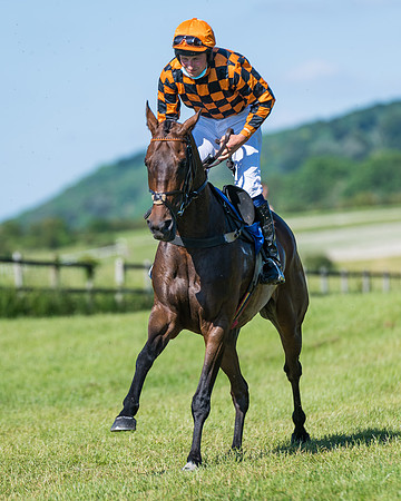 Race 6 - Open Maiden (41 of 201)