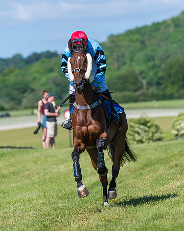 Race 6 - Open Maiden (42 of 201)