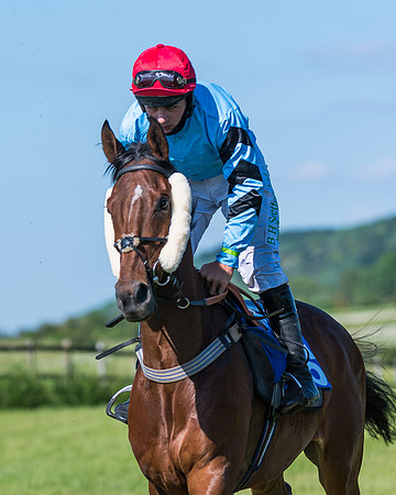 Race 6 - Open Maiden (45 of 201)