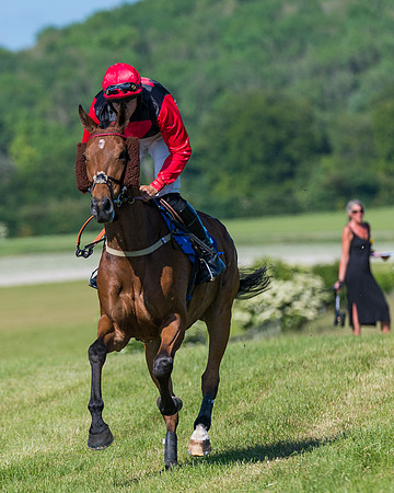 Race 6 - Open Maiden (49 of 201)